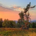 Abend auf dem Kahlen Asten