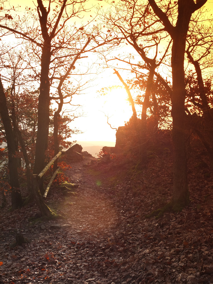 Abend auf dem Rotenfels über Bad Münster