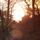 Abend auf dem Rotenfels über Bad Münster