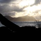 Abend auf den Lofoten