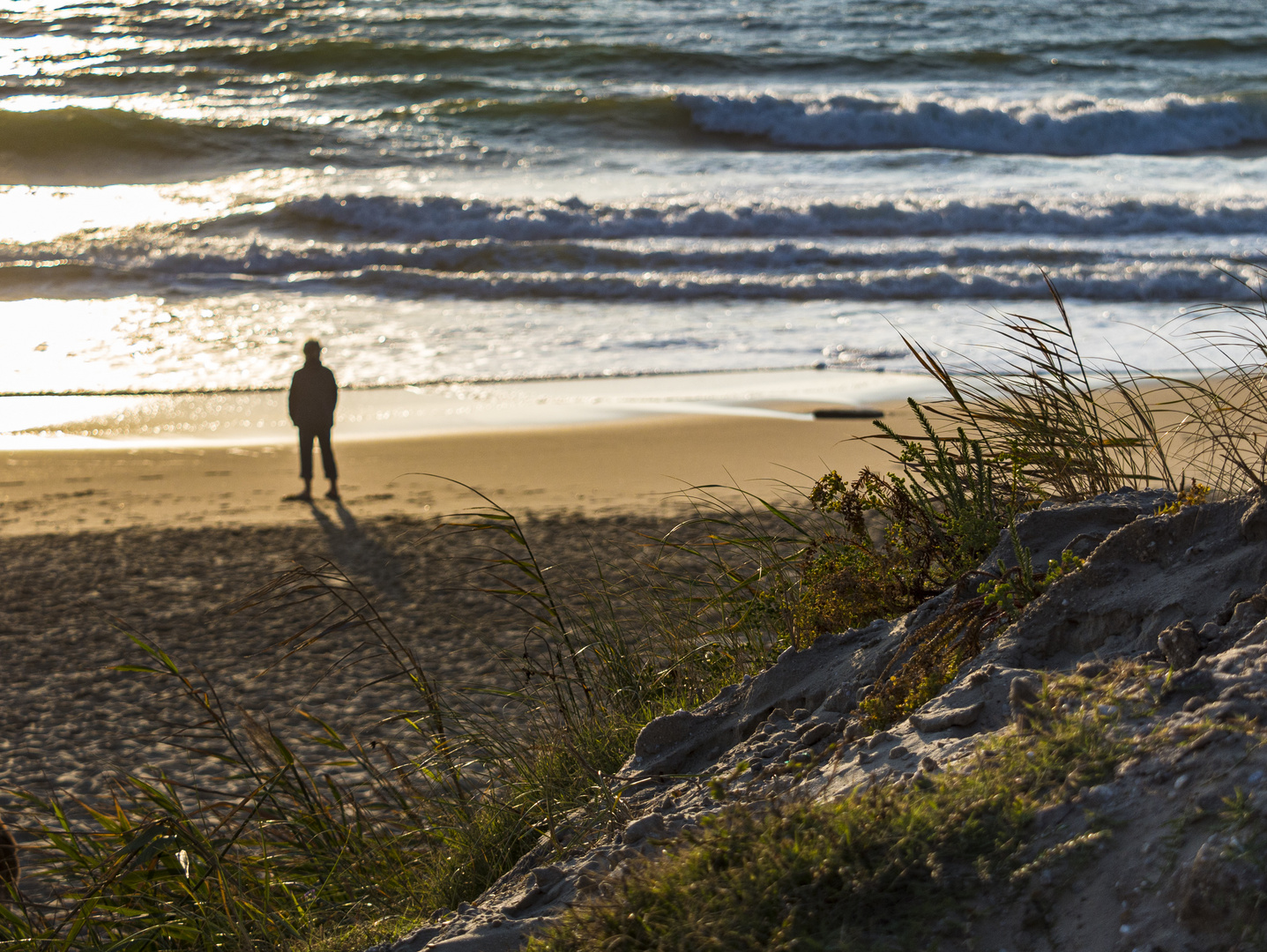 Abend auf der Düne