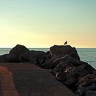 Abend auf der Hafenmole / Di sera al molo del porto