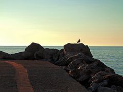 Abend auf der Hafenmole / Di sera al molo del porto