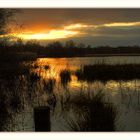 "Abend auf der Wijvenheide"