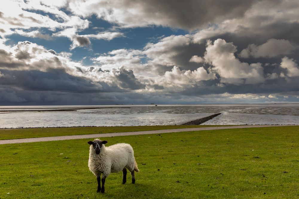 Abend auf Nordstrand