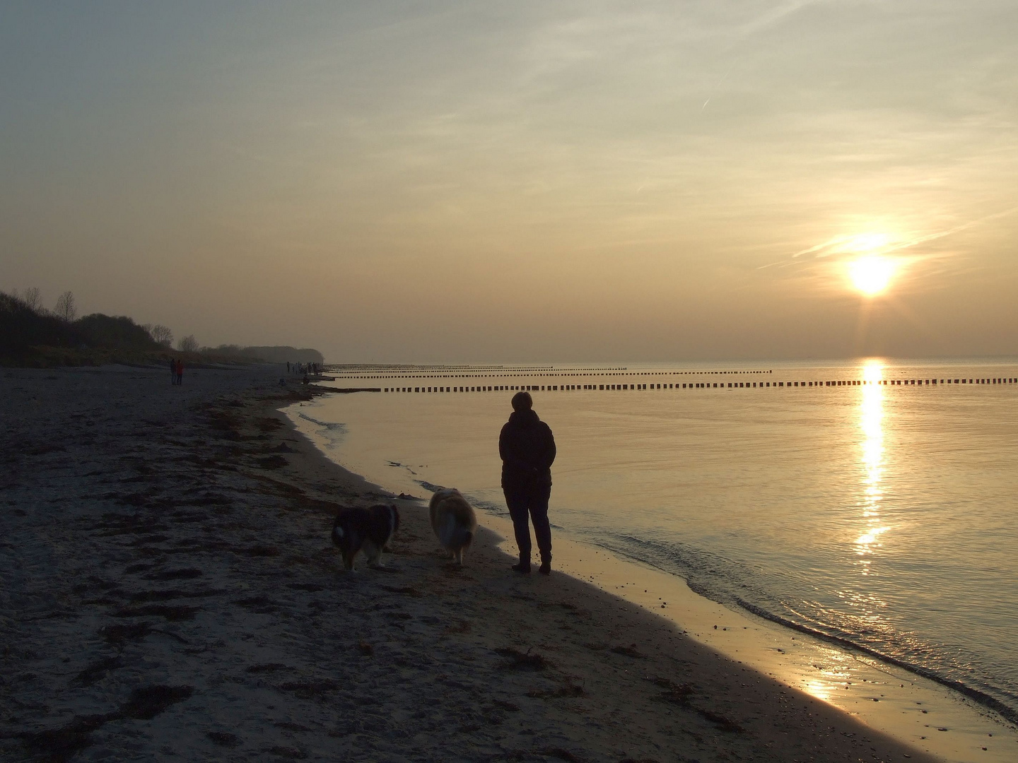 Abend auf Poel