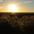 Abend auf Usedom