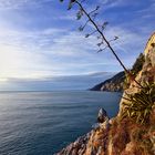 Abend bei Porto Venere