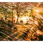 Abend-Biker