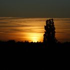 Abend-Blick von meinem Balkon