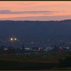 Abend, Bodensee, Insel Reichenau, Februar