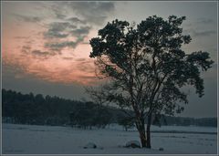 Abend-Dämmerung