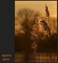 Abend - Gold