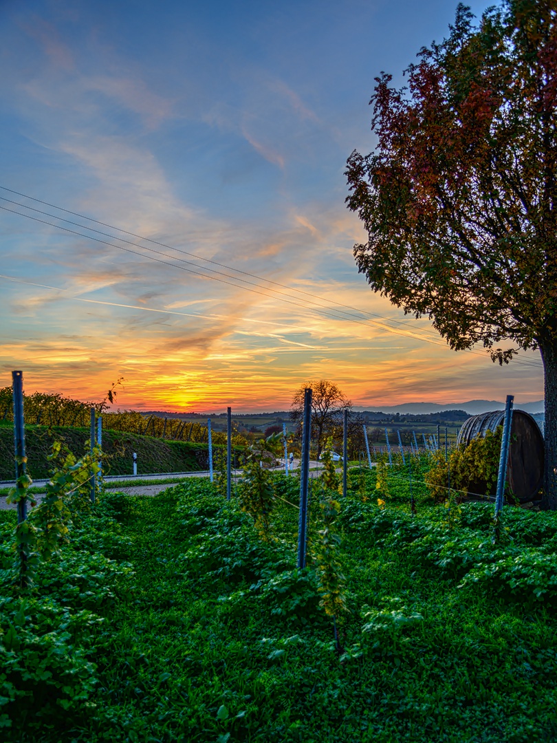 Abend/ Herbststimmung