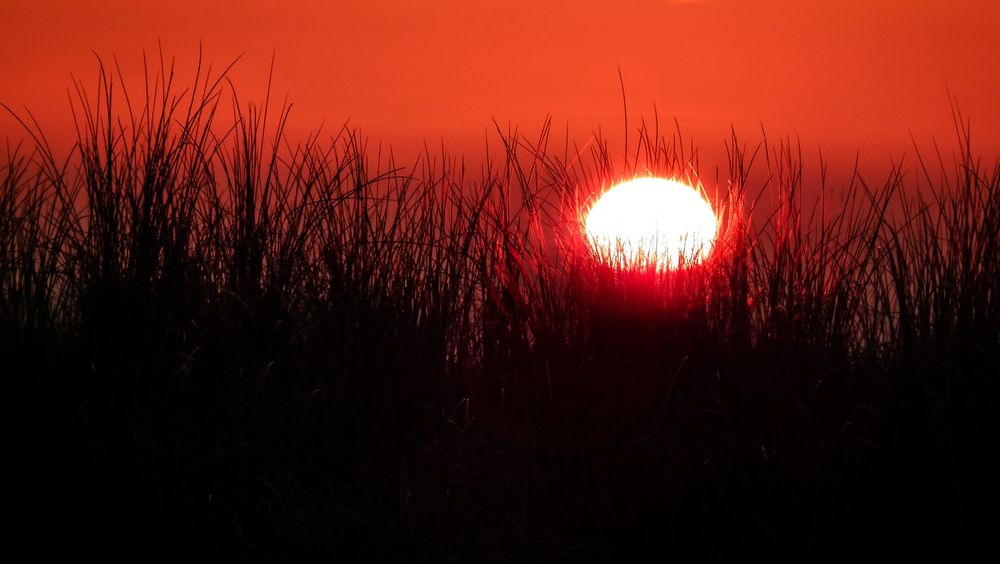 Abend hinter der Düne