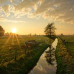 Abend-Idylle oder Norddeutscher Sonnenuntergang ;))