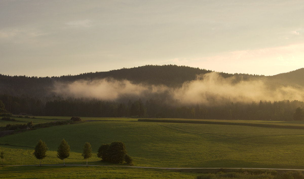 Abend im Bayerischen Wald