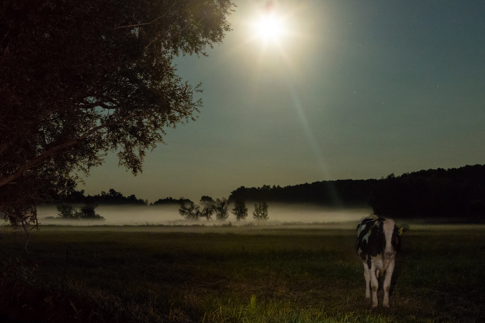 Abend im Dorf