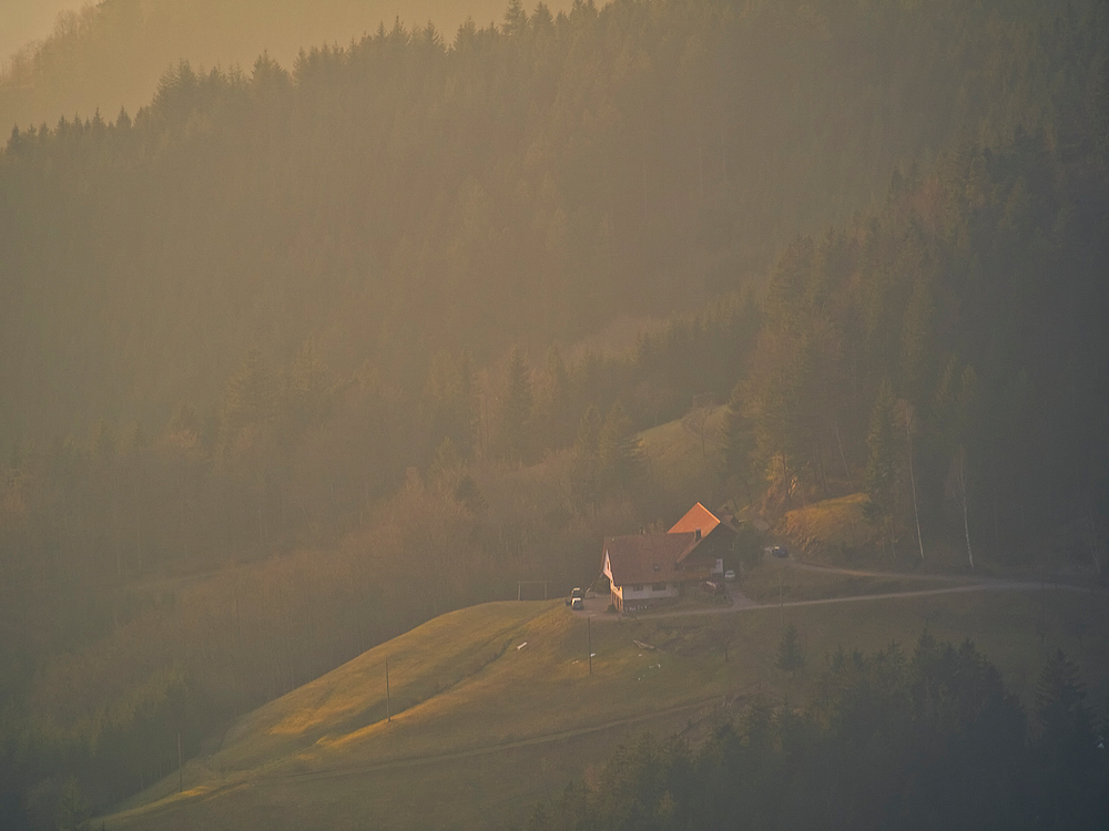 Abend - Im Dunst beim Hornbur