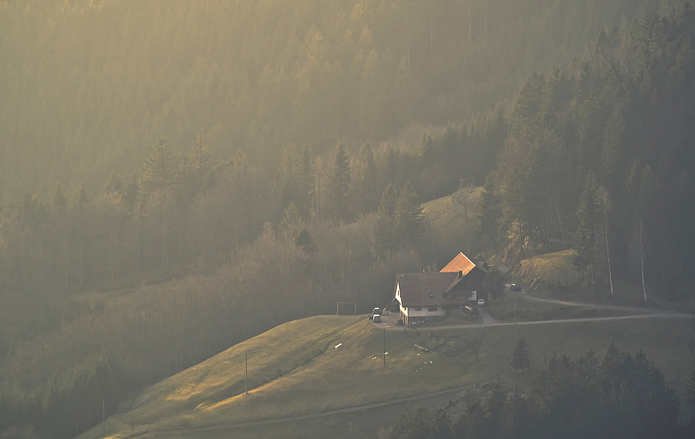 Abend - Im Dunst beim Hornbur II