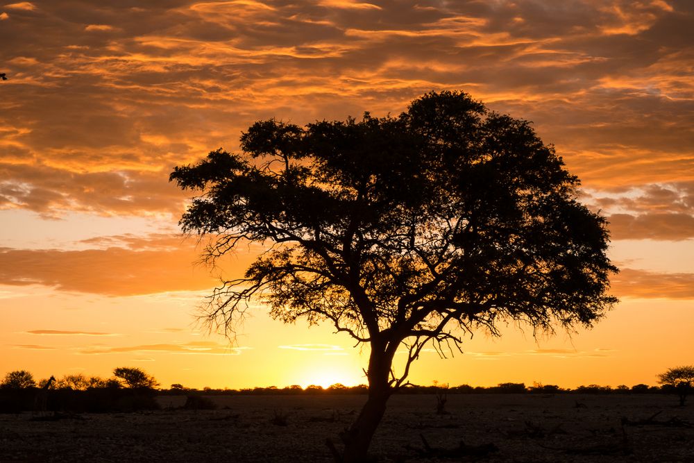 Abend Im Etosha Nationalpark