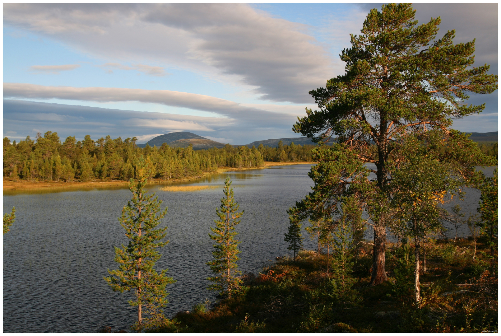 Abend im Fjäll