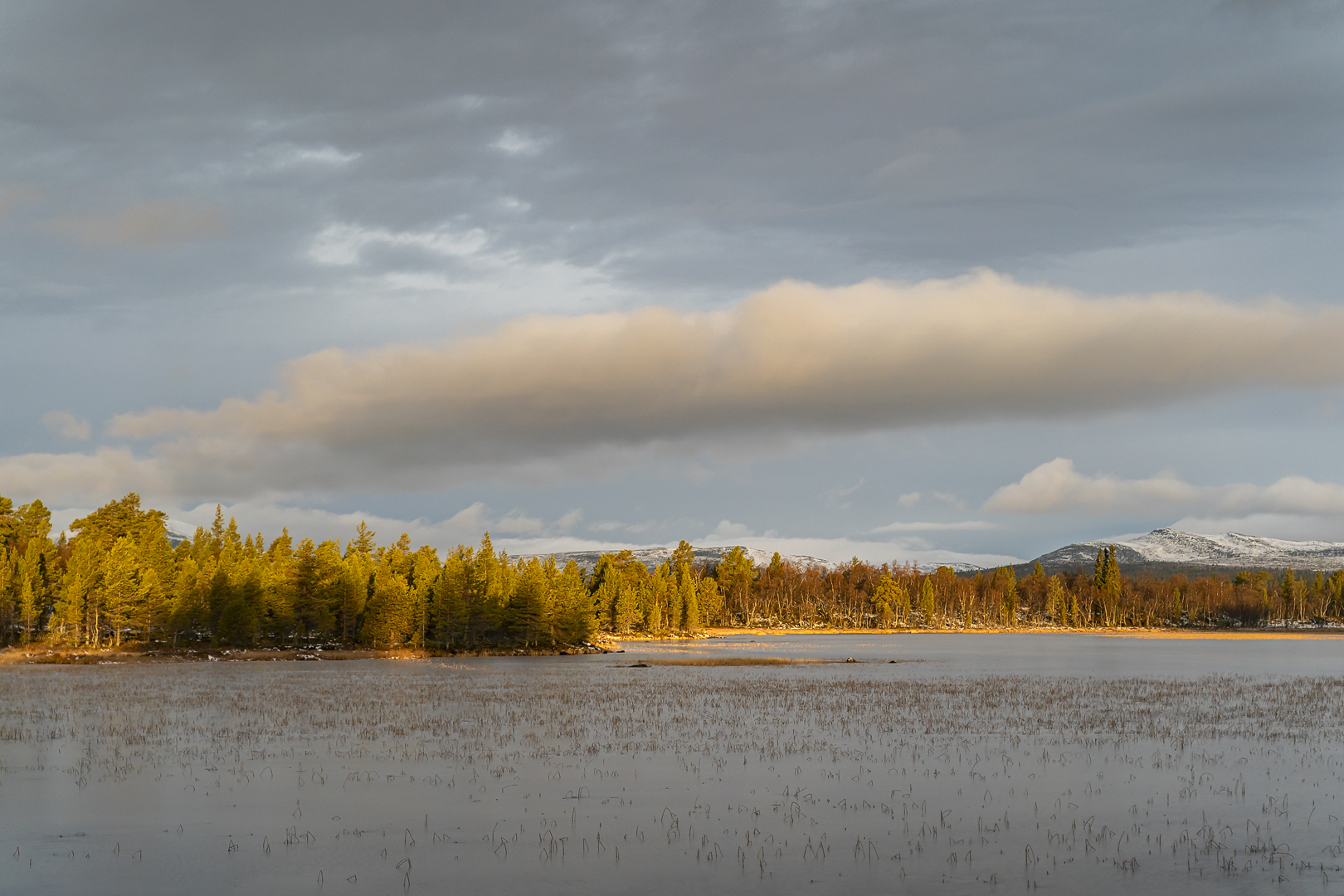 Abend im Fjäll