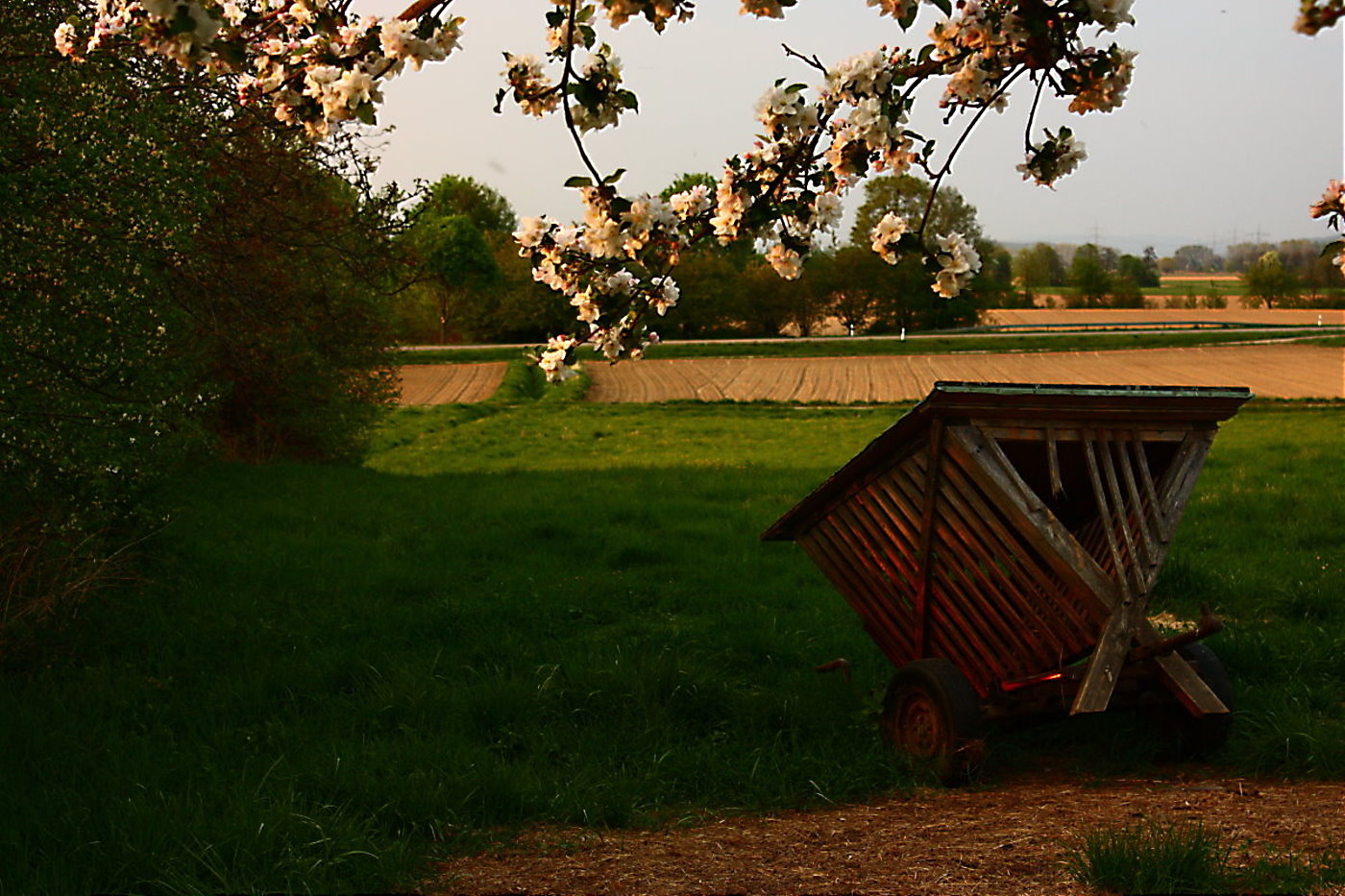 Abend im Frühling