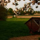 Abend im Frühling