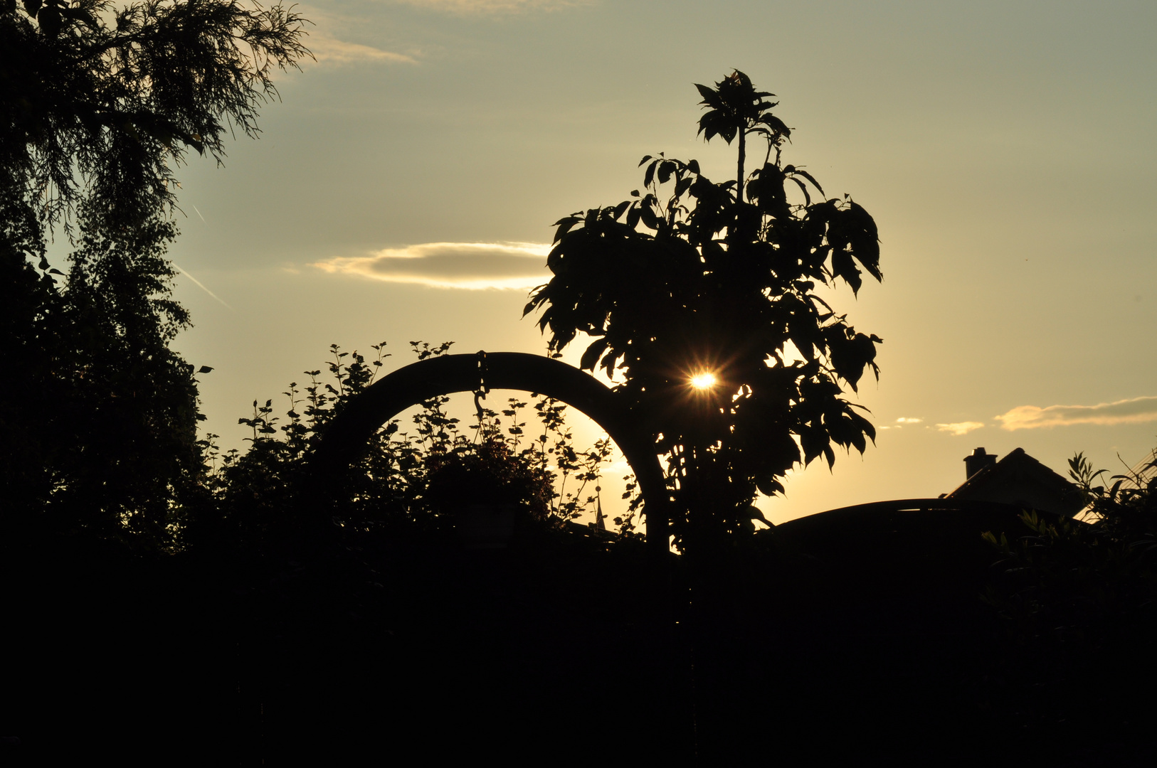 Abend im Garten