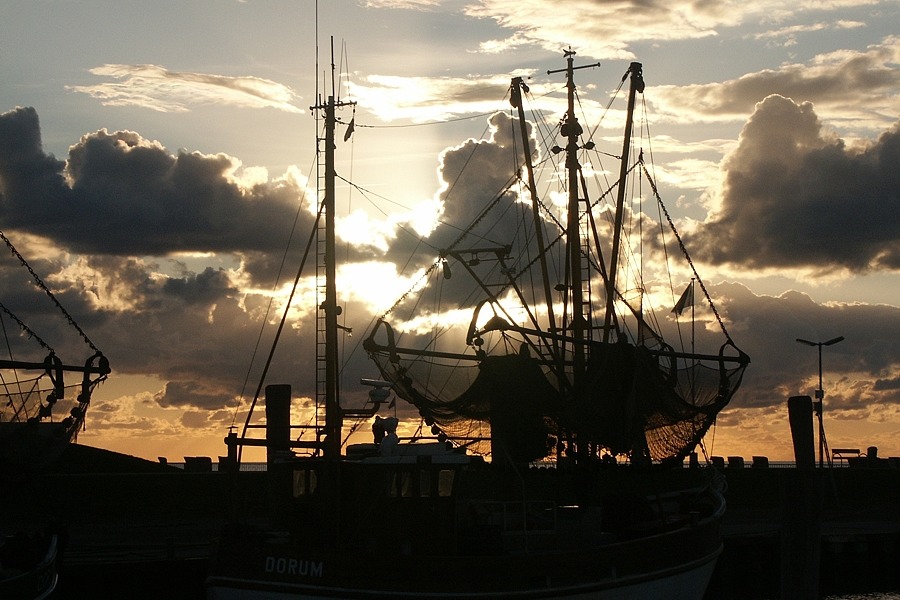 Abend im Hafen