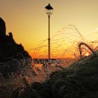 Abend im Hafen / Di sera al porto (5)