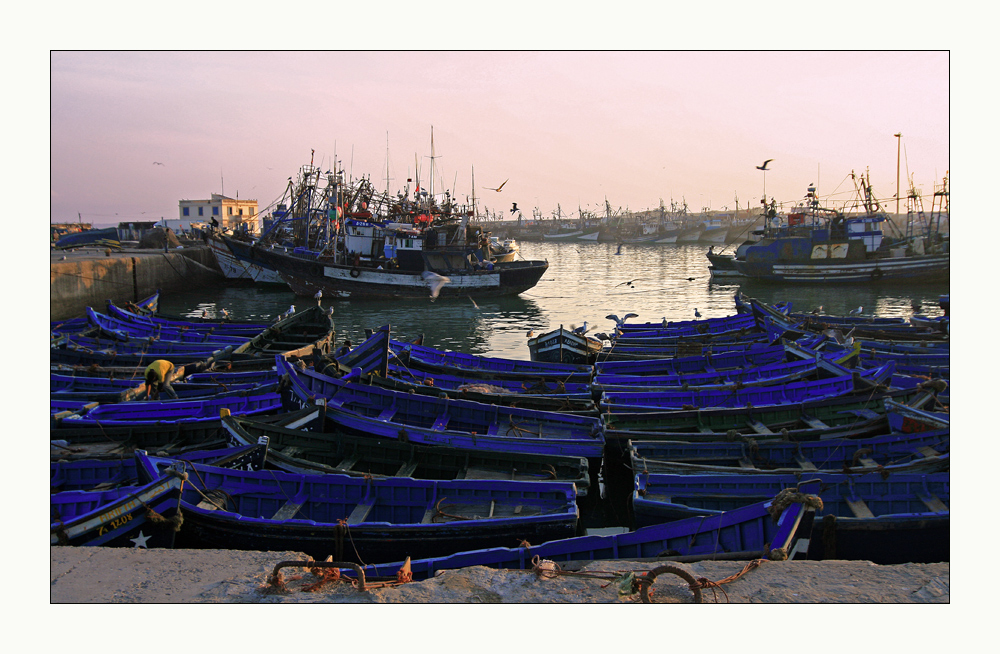 Abend im Hafen von Essaouira