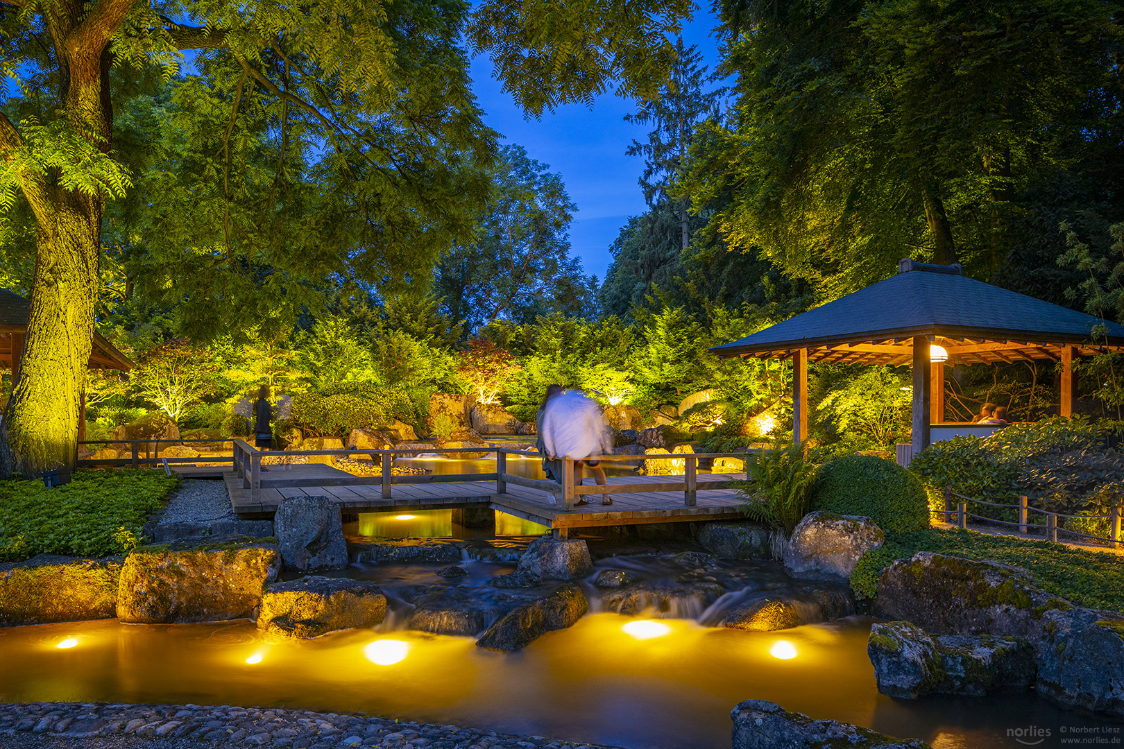 Abend im Japangarten