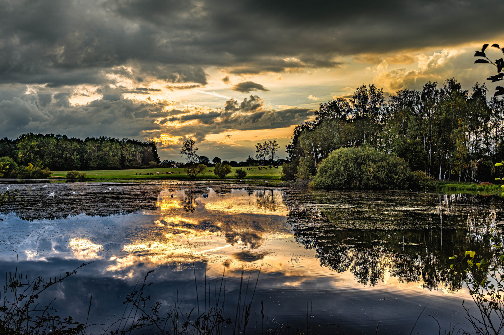 Abend im Land der tausend Teiche Foto & Bild deutschland, europe