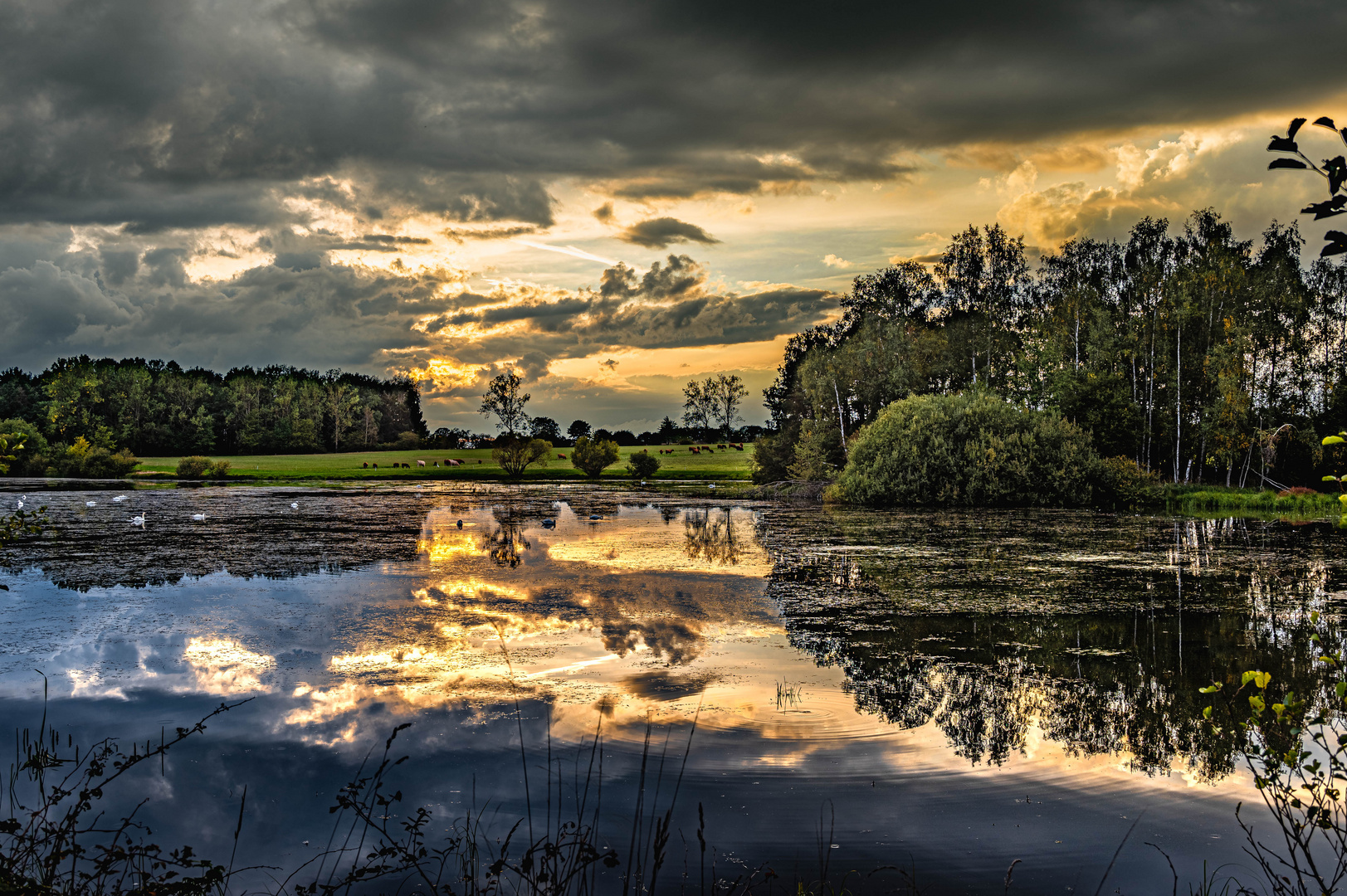 Abend im Land der tausend Teiche