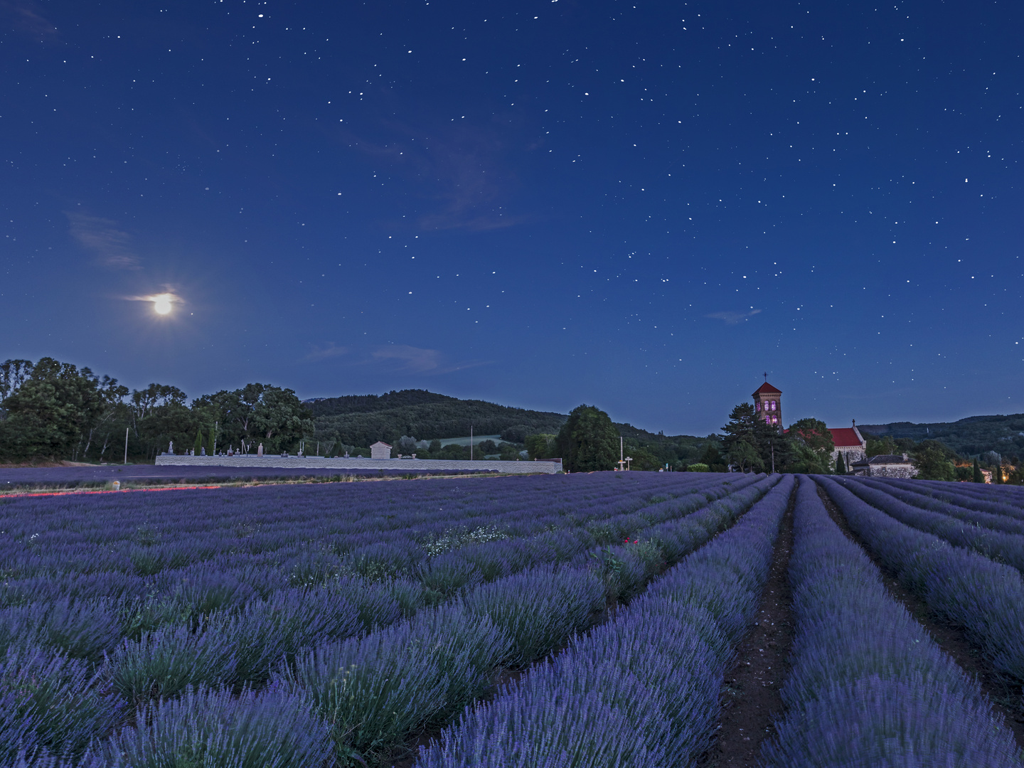 Abend im Lavendel 