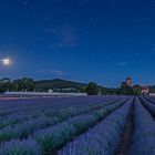 Abend im Lavendel 