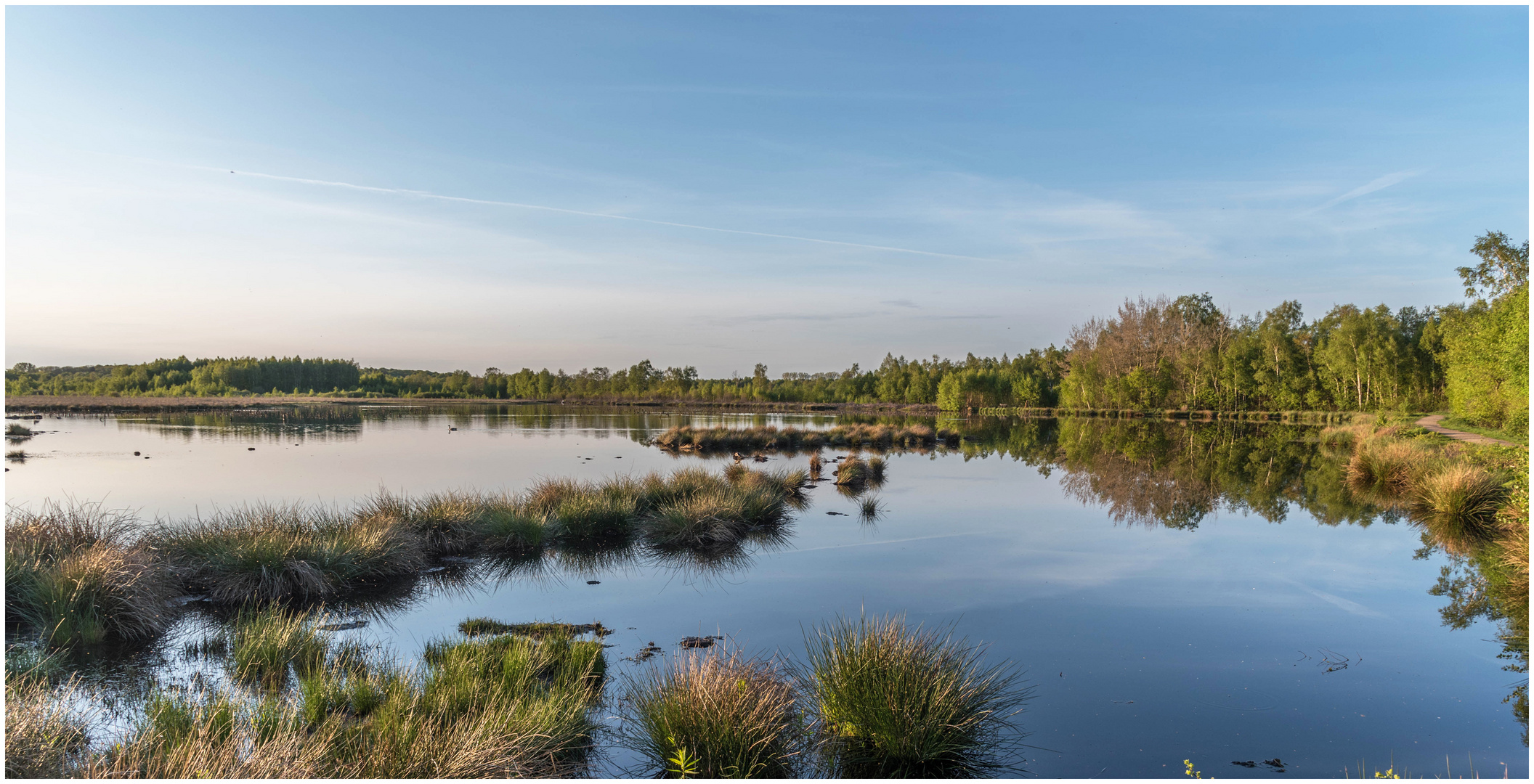 Abend im Moor