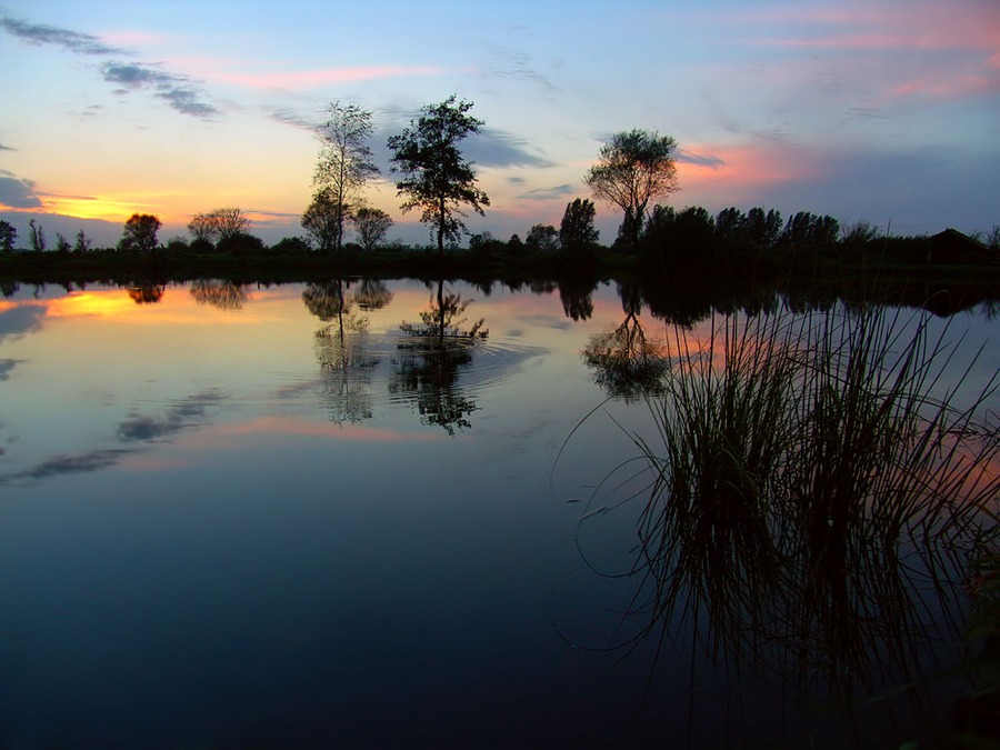 Abend im Moor