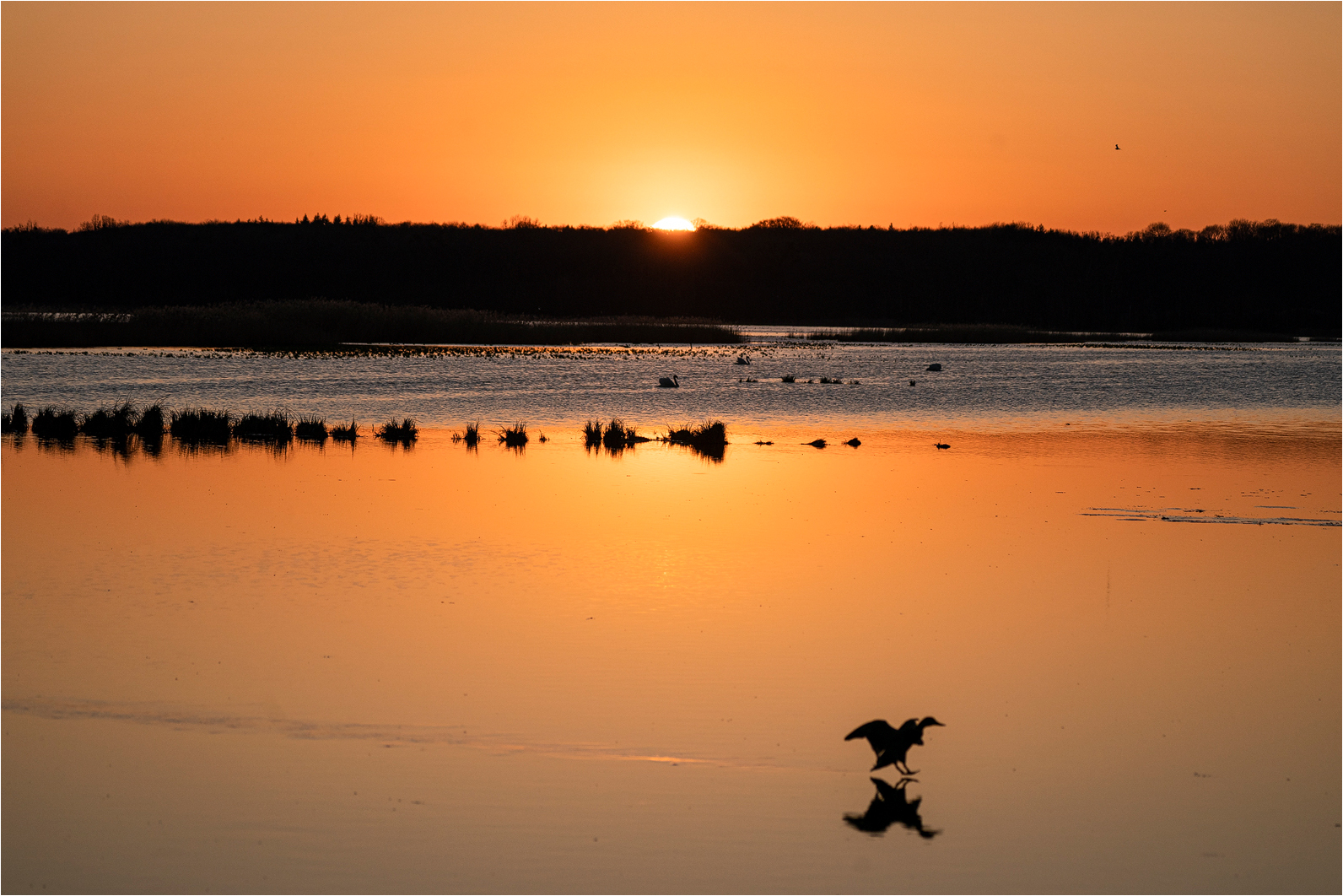 Abend im Moor..