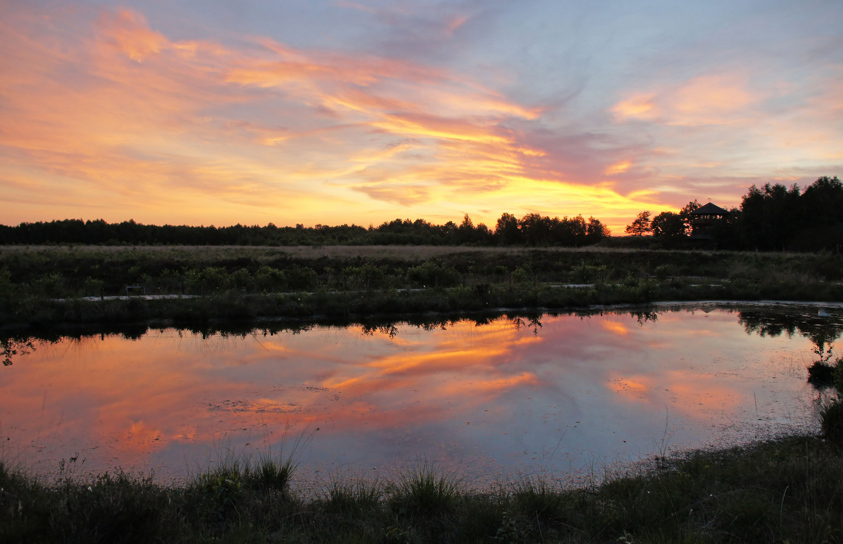 Abend im Moor