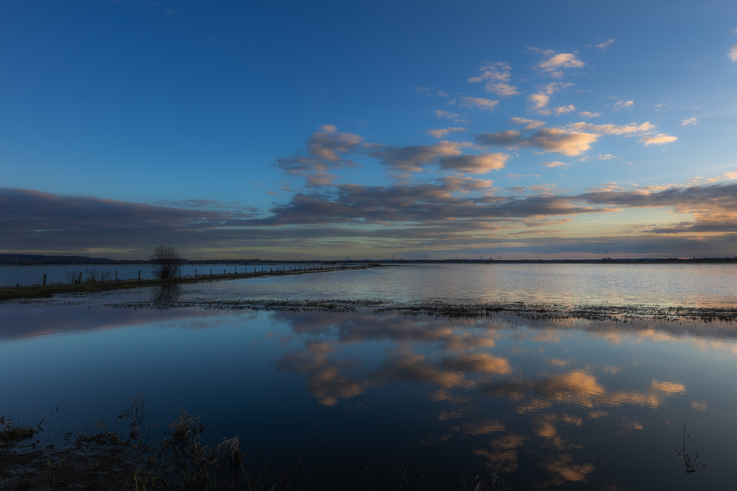 Abend im Moor