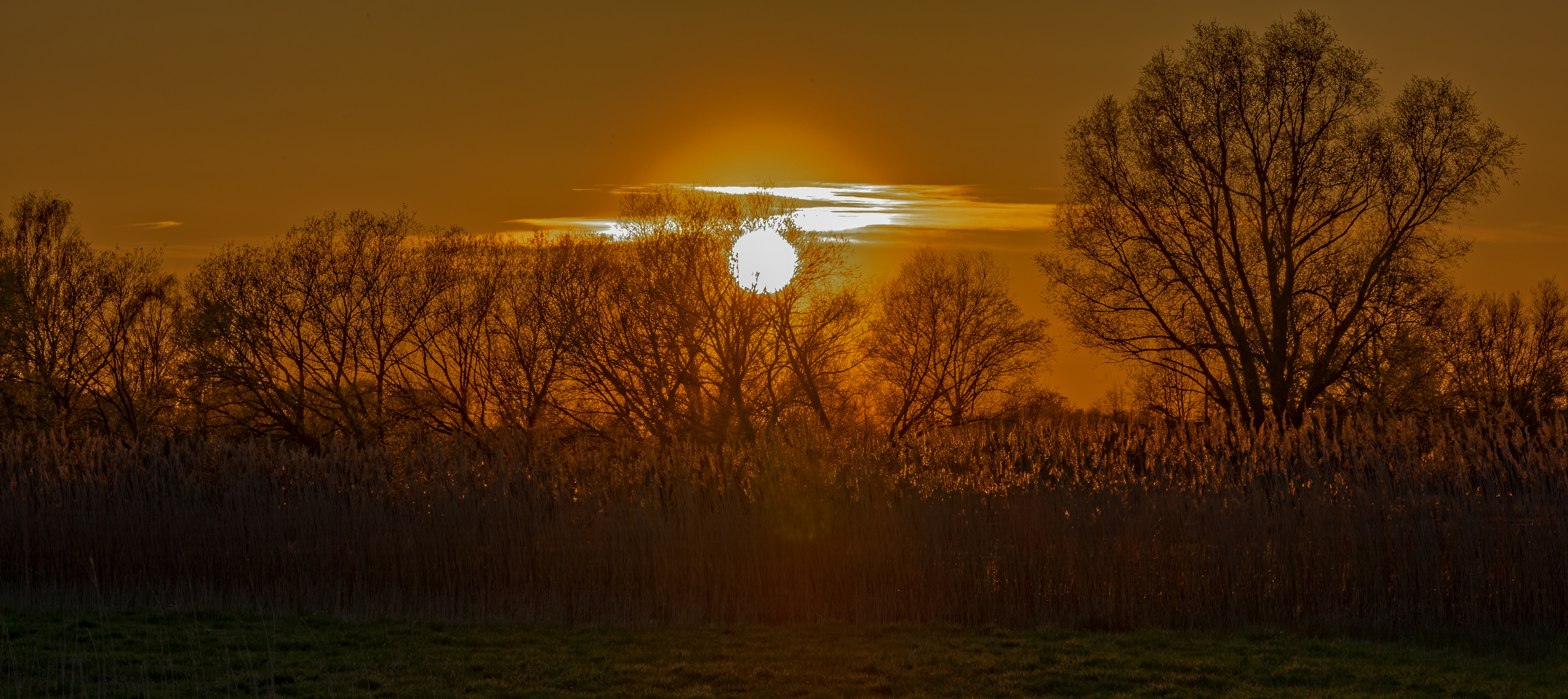 Abend im Naturschutzgebiet