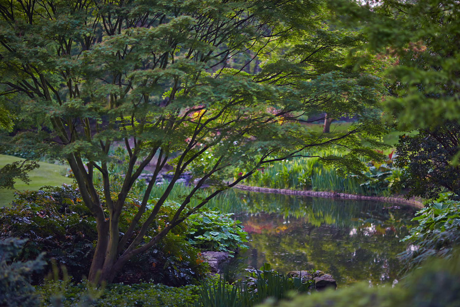 Abend im Park