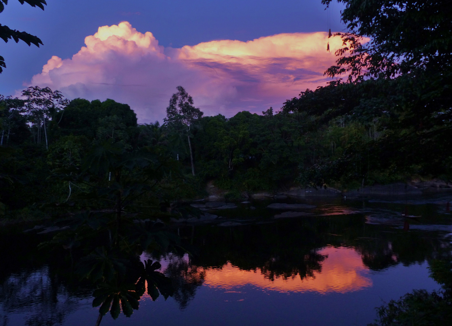 Abend im Regenwald