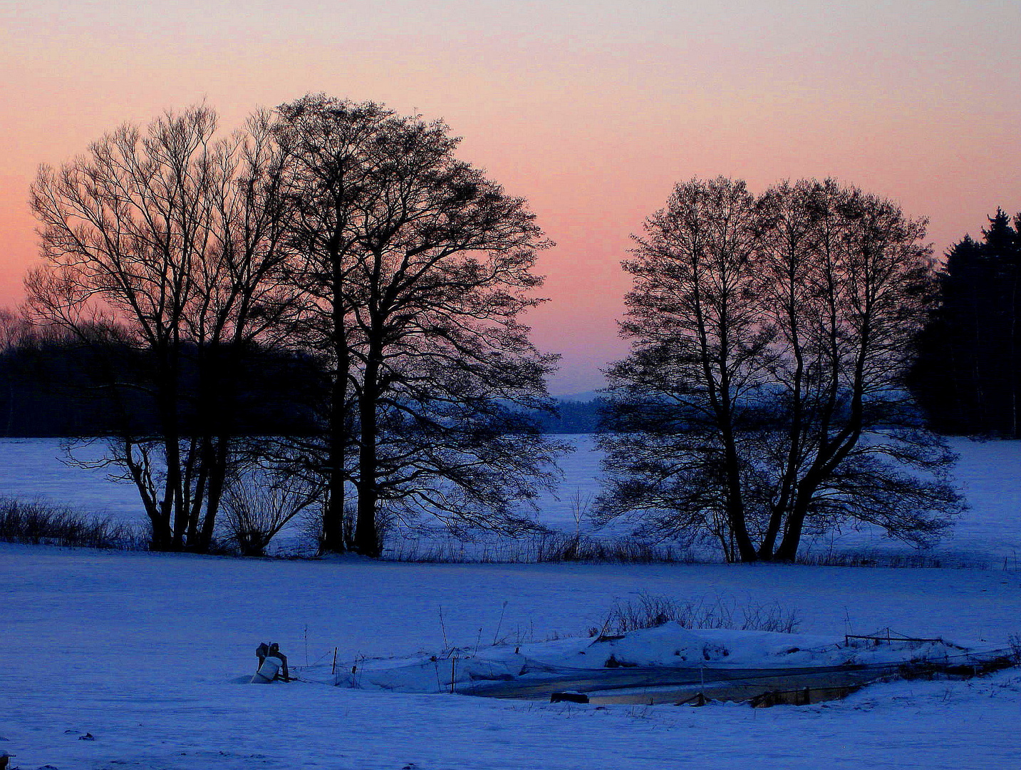 Abend im Saalegrund