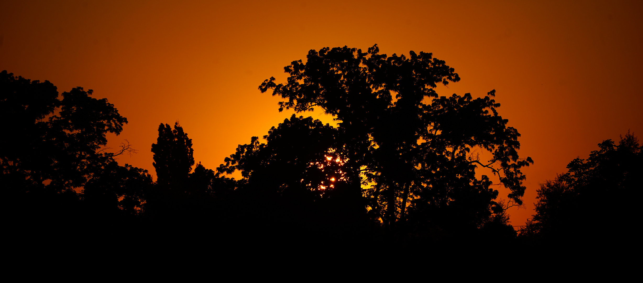 Abend im Stadtpark