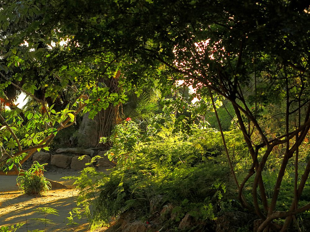 Abend im Stadtpark / Sera nella villa comunale