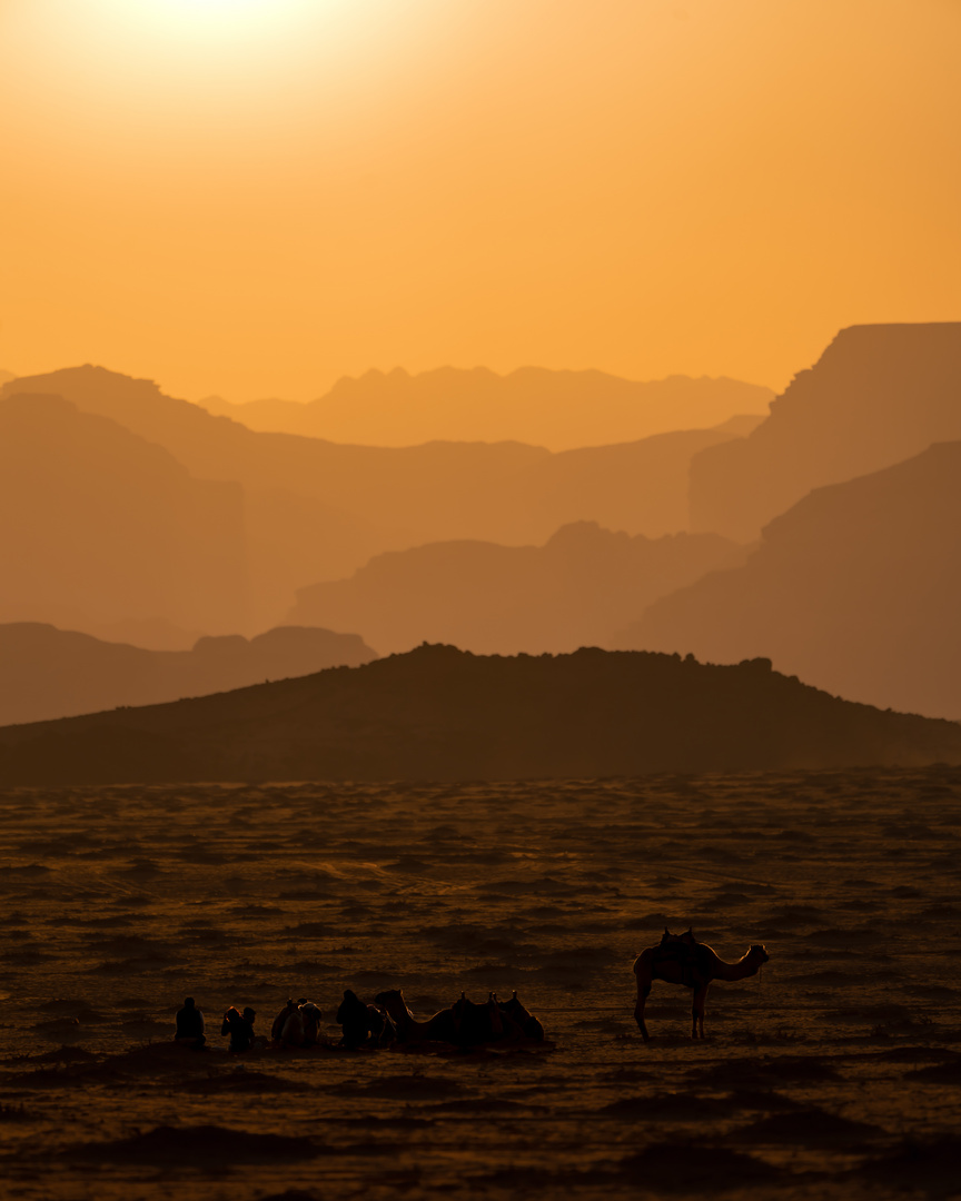 Abend im Wadi